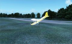 Lawn Dart