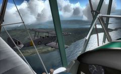 Tiger Moth