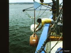PICT0024 1