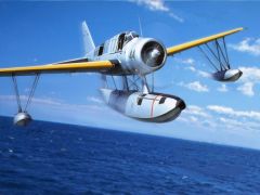 Hw kingfisher 10