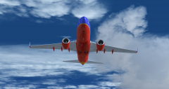 Southwest Adopt-A-Pilot