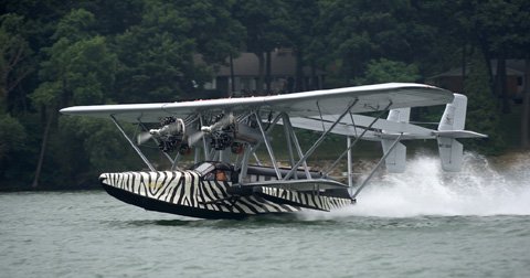 s38aa.jpg.a86a19b29b5033578793267af38b14ba.jpg