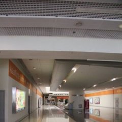 tsochun