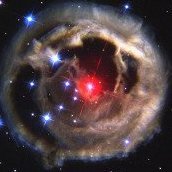 StarBegotten