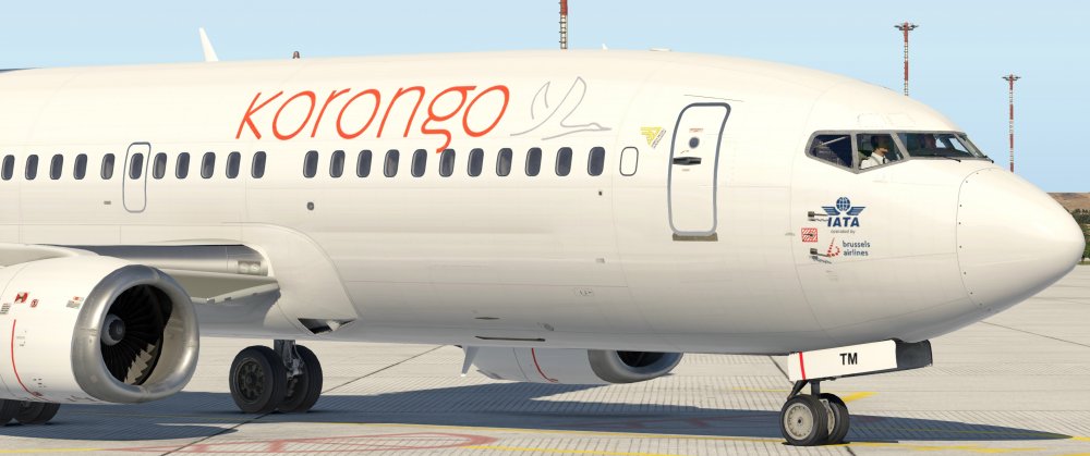B733_18.thumb.jpg.c97ebdc87903f4a05f805110e8069030.jpg
