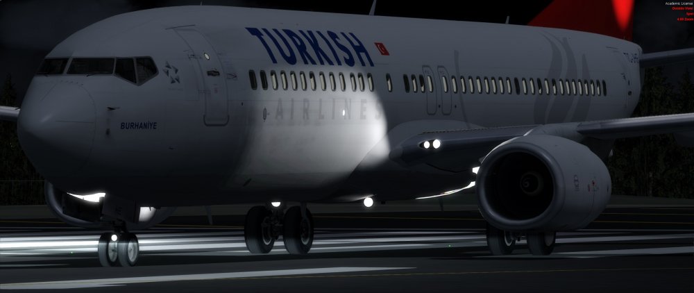 737.thumb.jpg.8a91d0cce5869a5df947ec6657cdc273.jpg
