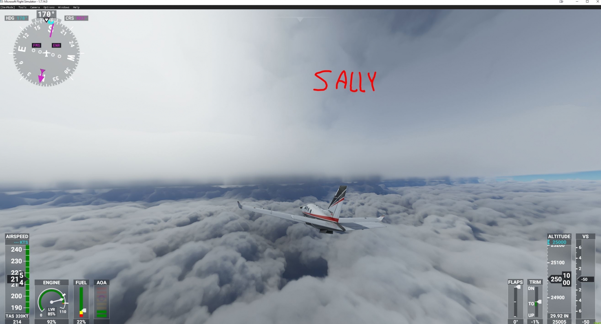 763763100_sallymondaymidafternoon.thumb.JPG.7de6f0da7fc55eb55280d146365f1d75.JPG