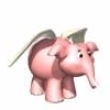Elephant42