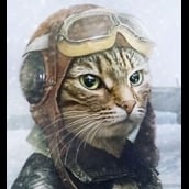 AmeliaCat