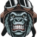 Aviator Ape