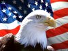 eagle39