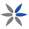 easyworldairlines