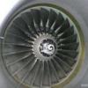 maddog67209