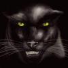 ThePanther