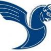 Speedbird70