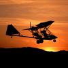 HappyFlyingBeaver